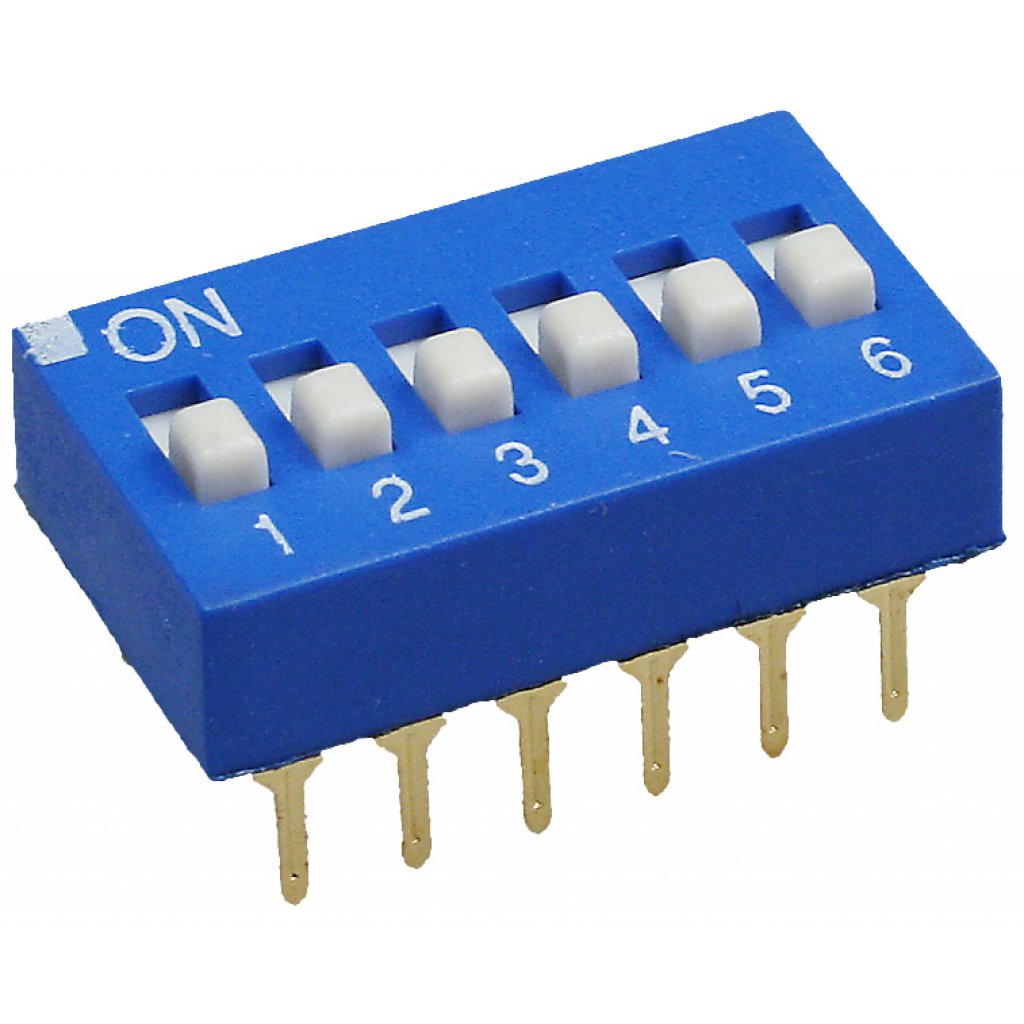 DS-06BBU-G Switronic