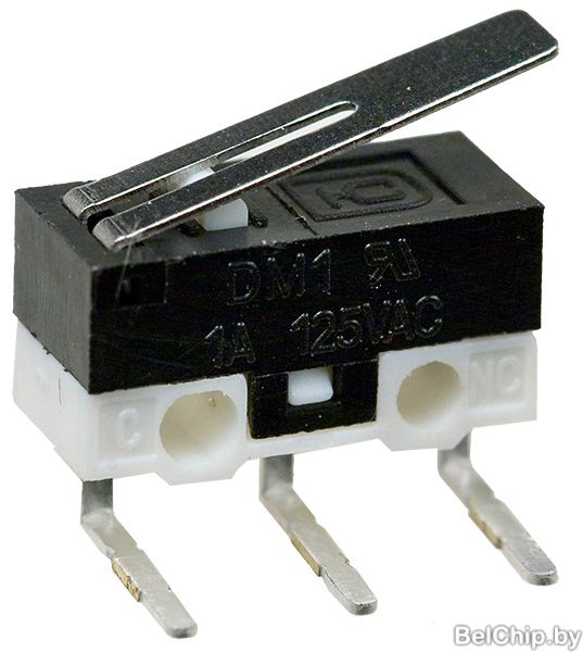 DM1-01C-30 Ruichi