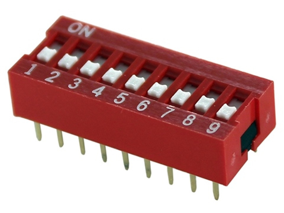 NDSR-09-V DPT